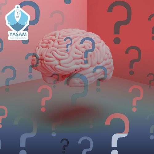 Alzheimer Hakkında